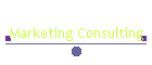 Marketing Consulting