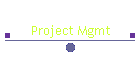 Project Mgmt